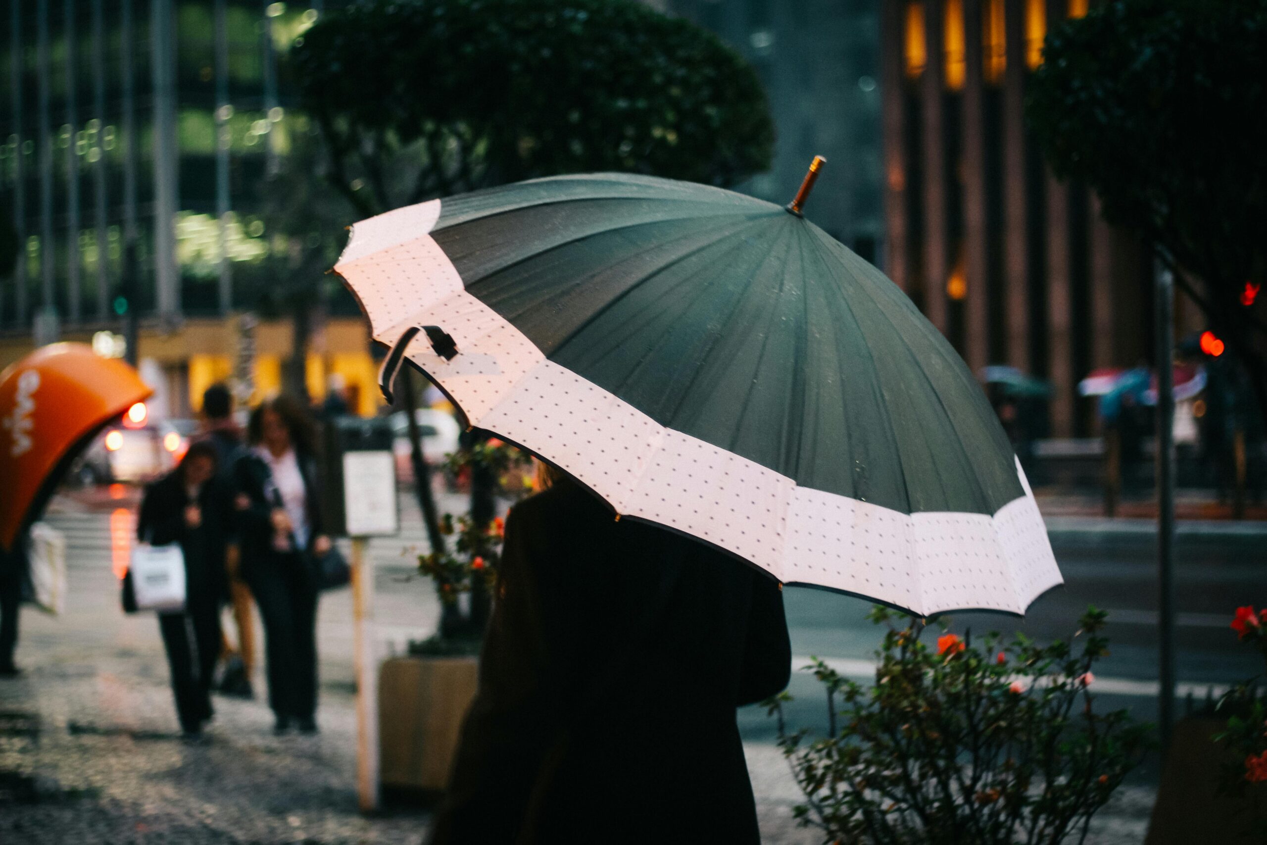 A person walks with an umbrella on a rainy day in São Paulo's urban environment.